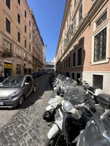 IMG_0667 2